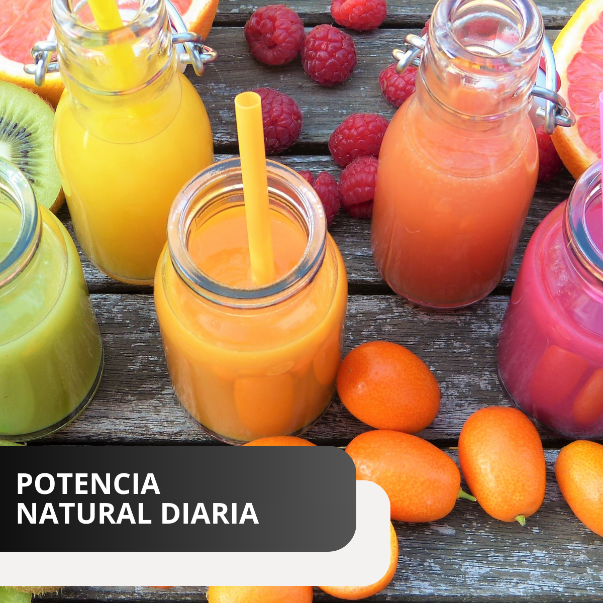 Exprimidor Manual de Frutas en Aluminio Reforzado | Extractor de Jugos Cítricos Antigoteo para Hogar o Negocio